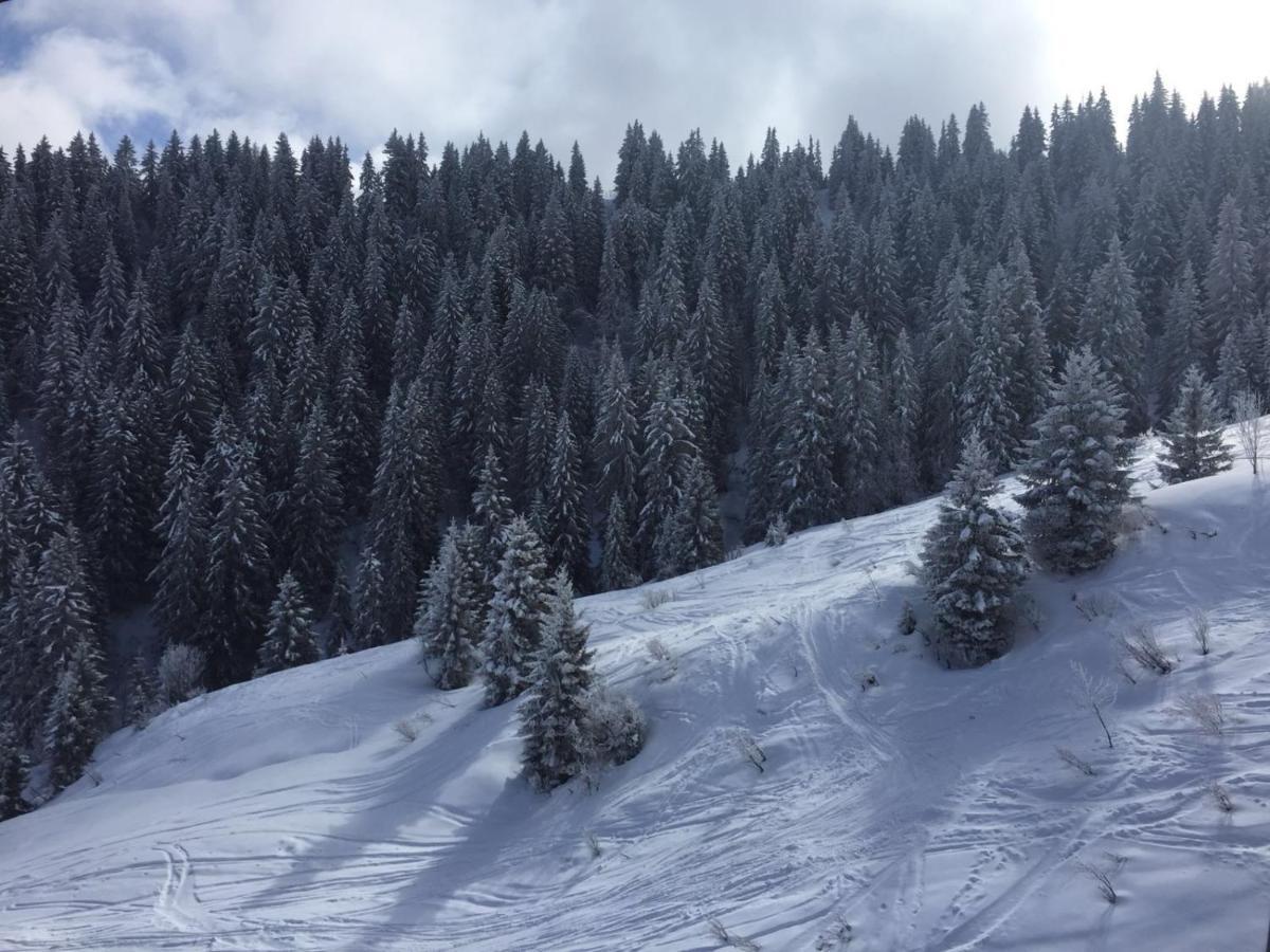 Chalet Du Meilly Saint-Gervais-les-Bains